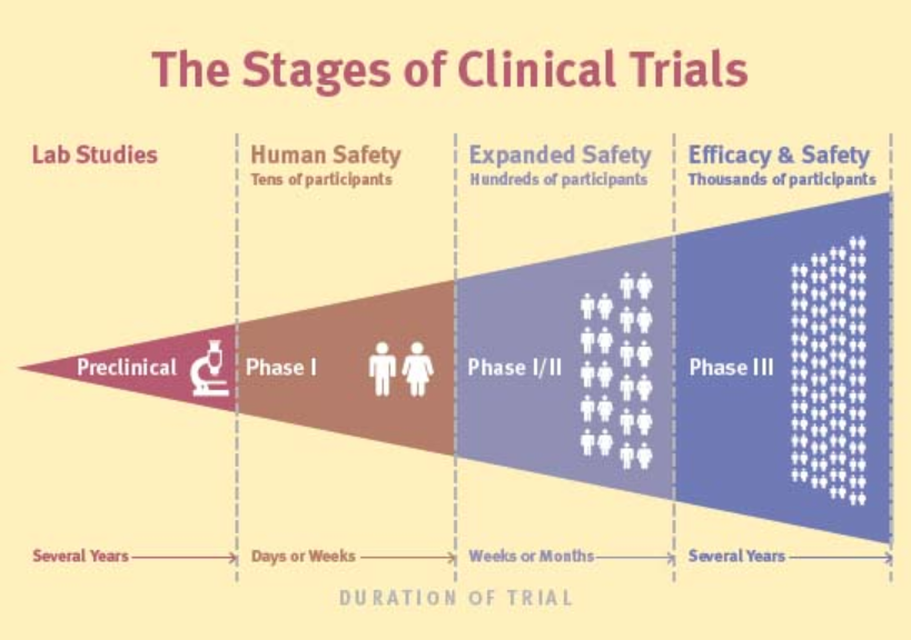 Infographic: the stages of clinical trials, from preclinical lab studies through Phase 1 human safety with tens of participants, Phase 1/2 expanded safety with hundreds, to Phase 3 efficacy and safety with thousands
